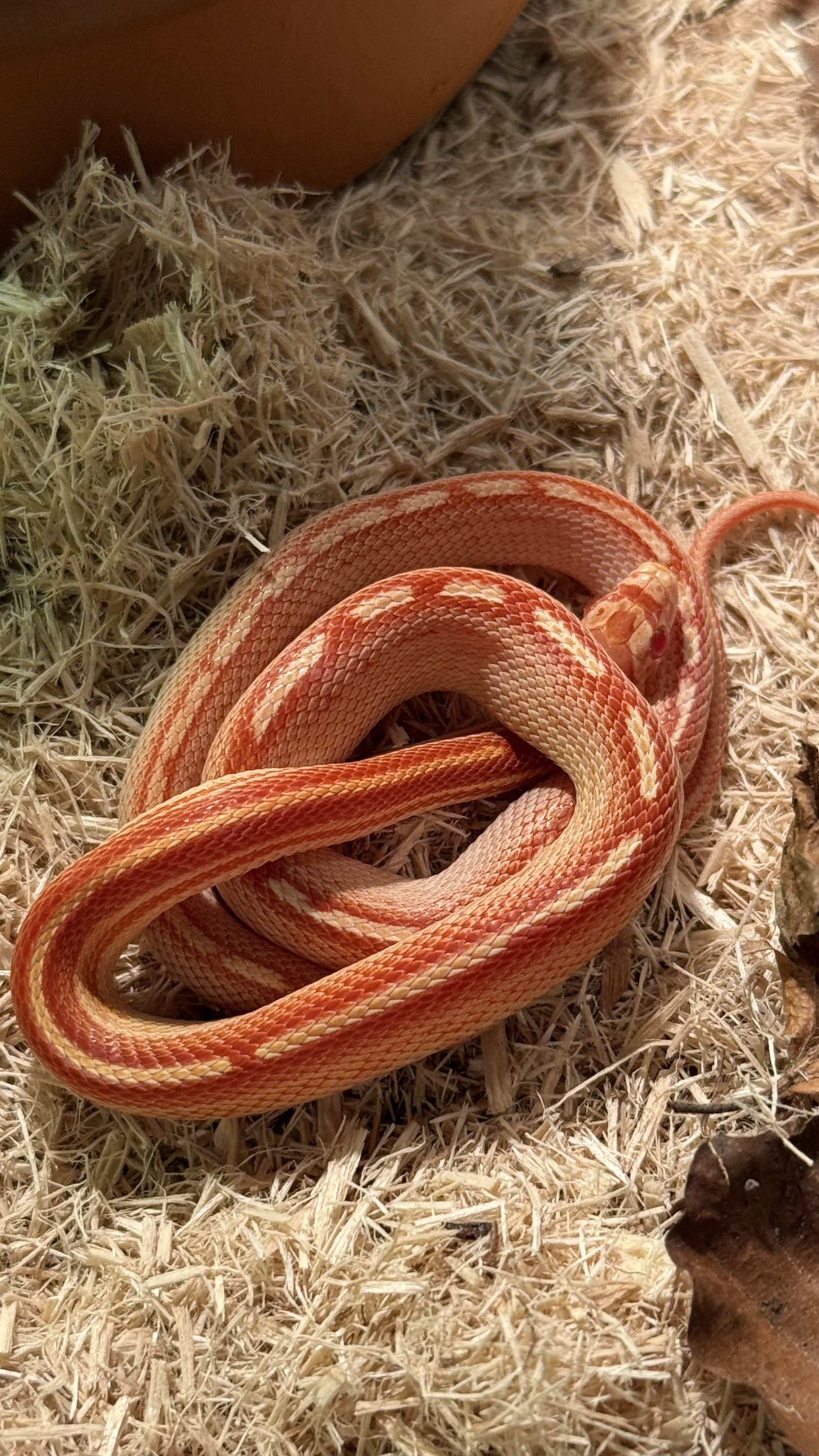 Byte
