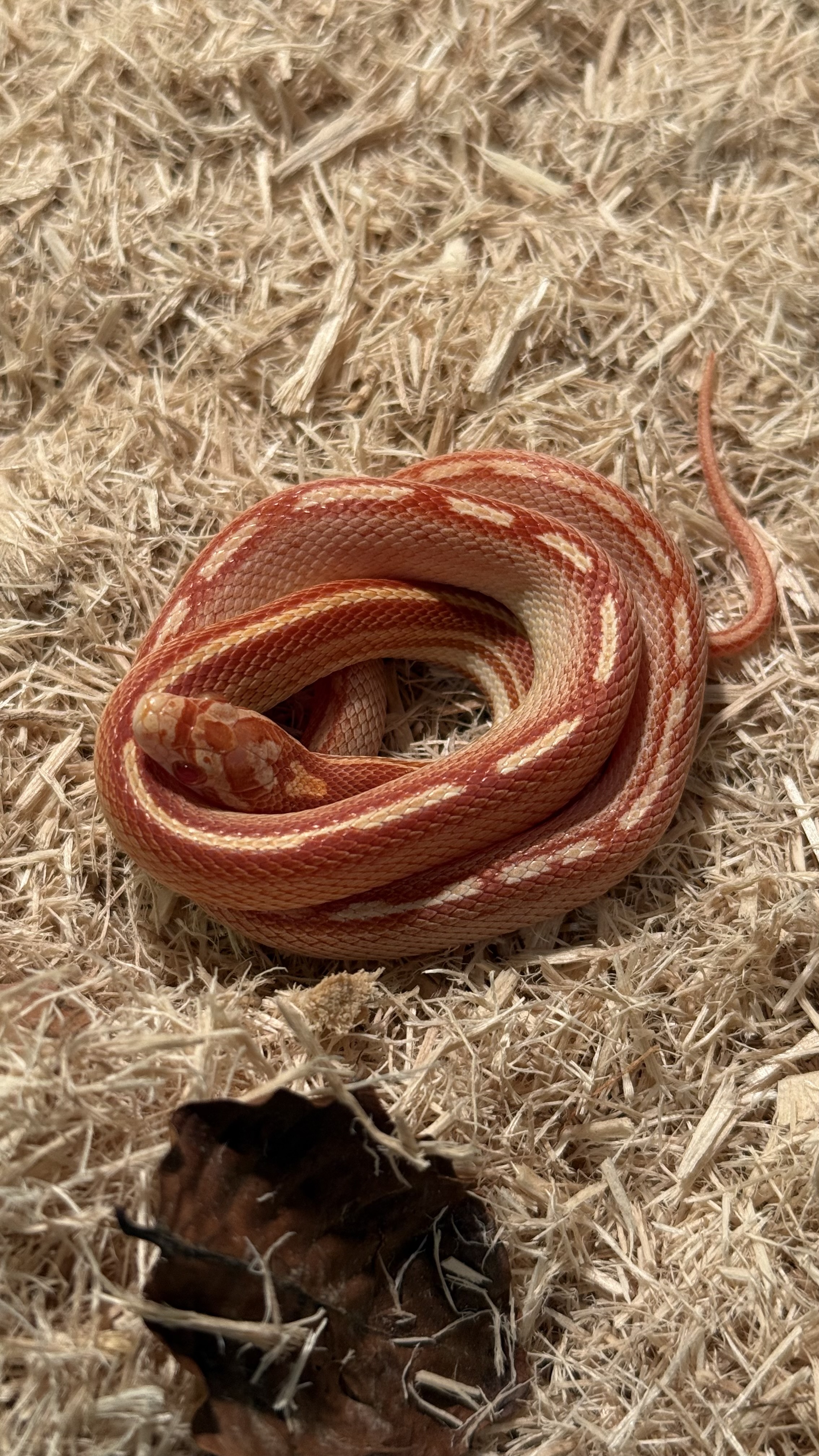 Byte