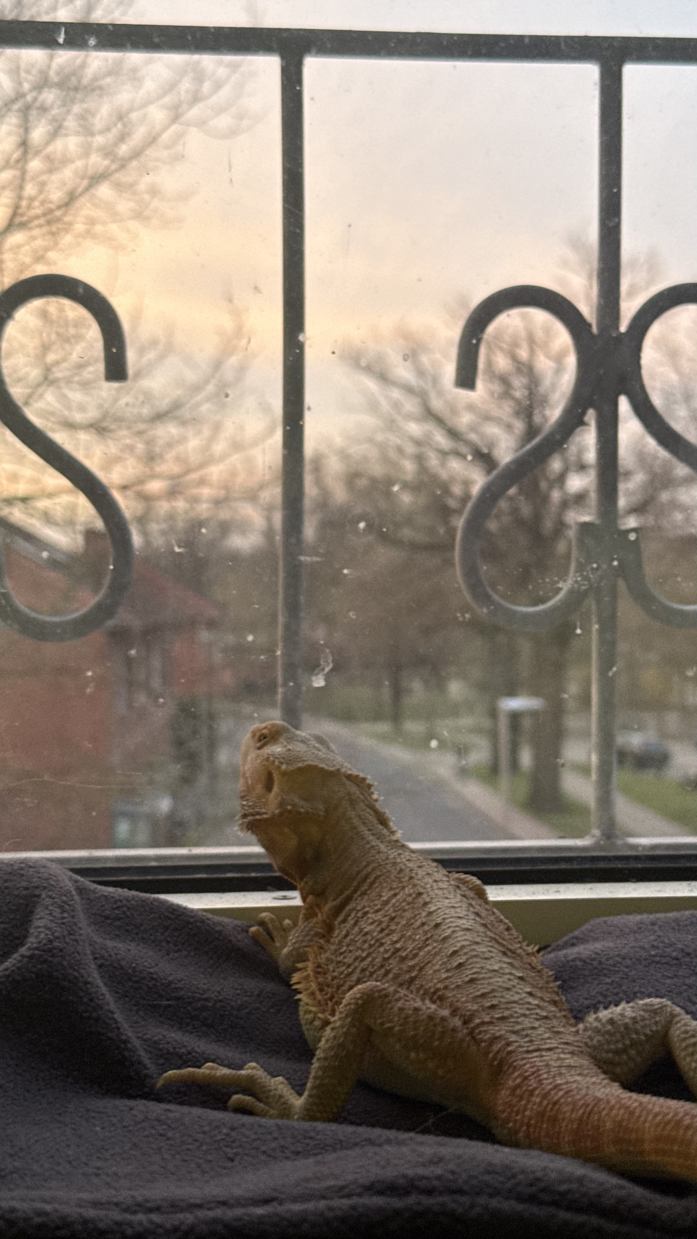 Murph