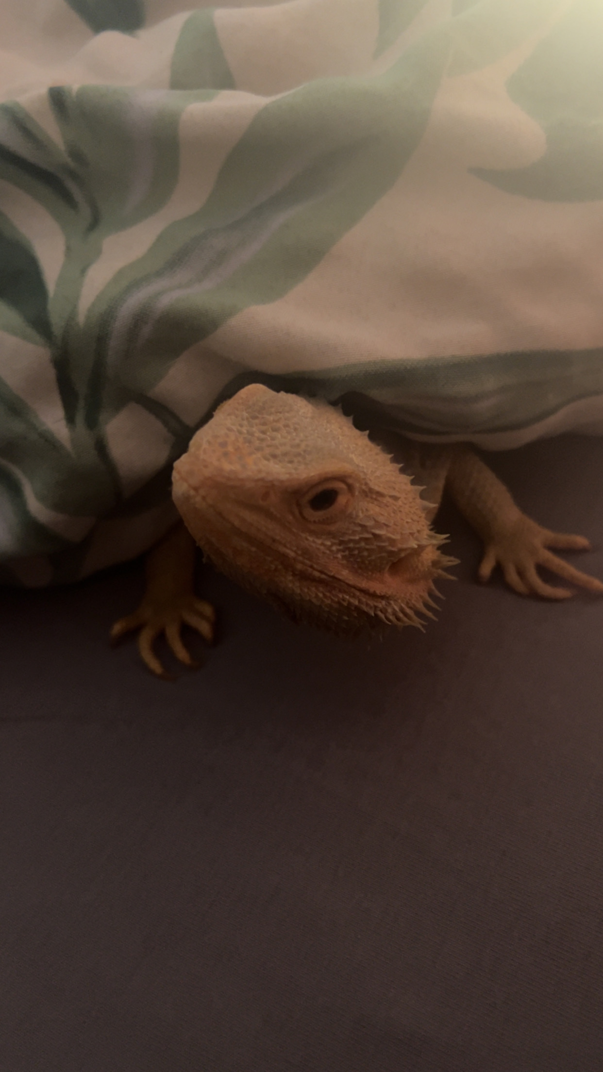 Murph